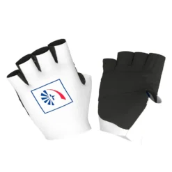 ALE GROUPAMA FDJ 2021 Gloves